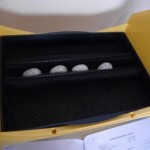 Four of the eggs set in the incubator. Photo by Liz Corry