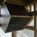 A mesh door was attached to the next box so the chicks could be shut securely in at night. Photo by Liz Corry