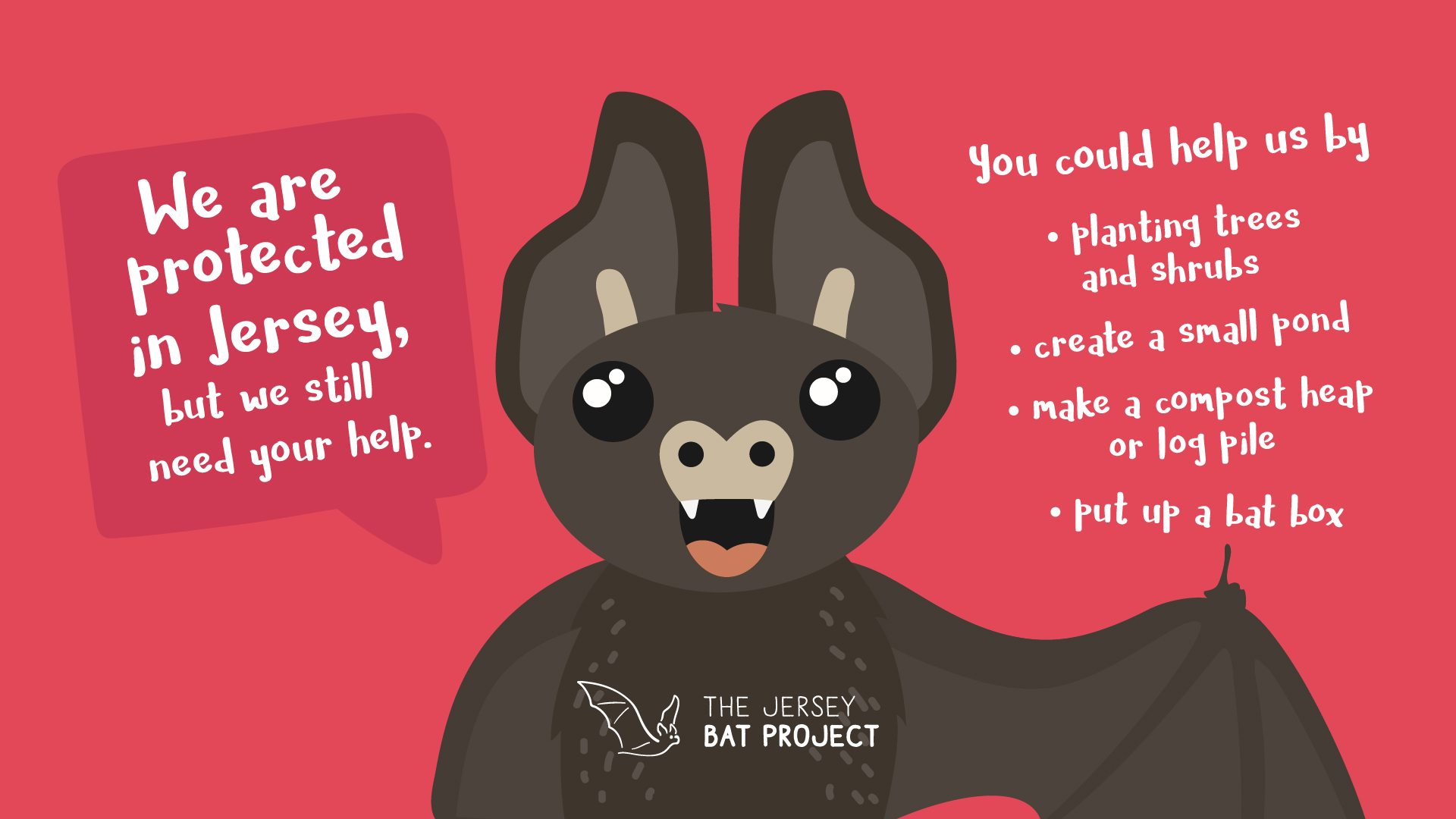 The Jersey Bat Project meet Hugh the Bat Birds on the edgeBirds on